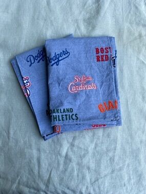 Set of 2 Pottery Barn Teen blue MLB Baseball standard pillow cases
